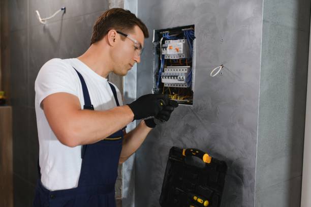 Best Residential Electrician Services  in Sleepy Eye, MN
