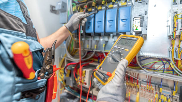 Best Home Electrical Repair  in Sleepy Eye, MN
